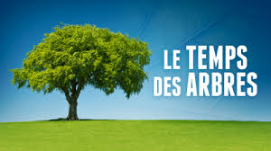 « Le Temps des Arbres » réalisé par Marie France BARRIER