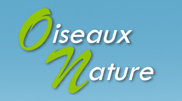 OISEAUX NATURE