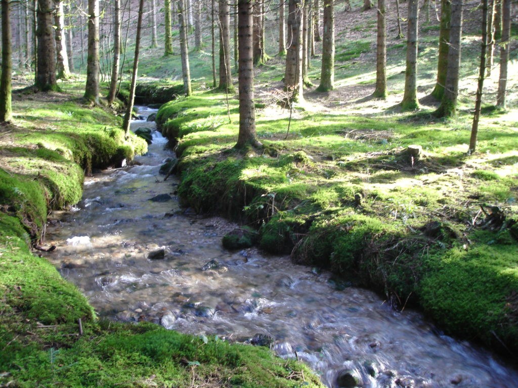 Schéma d'Aménagement et de Gestion de l'Eau