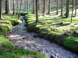 Schéma Aménagement Gestion Eau