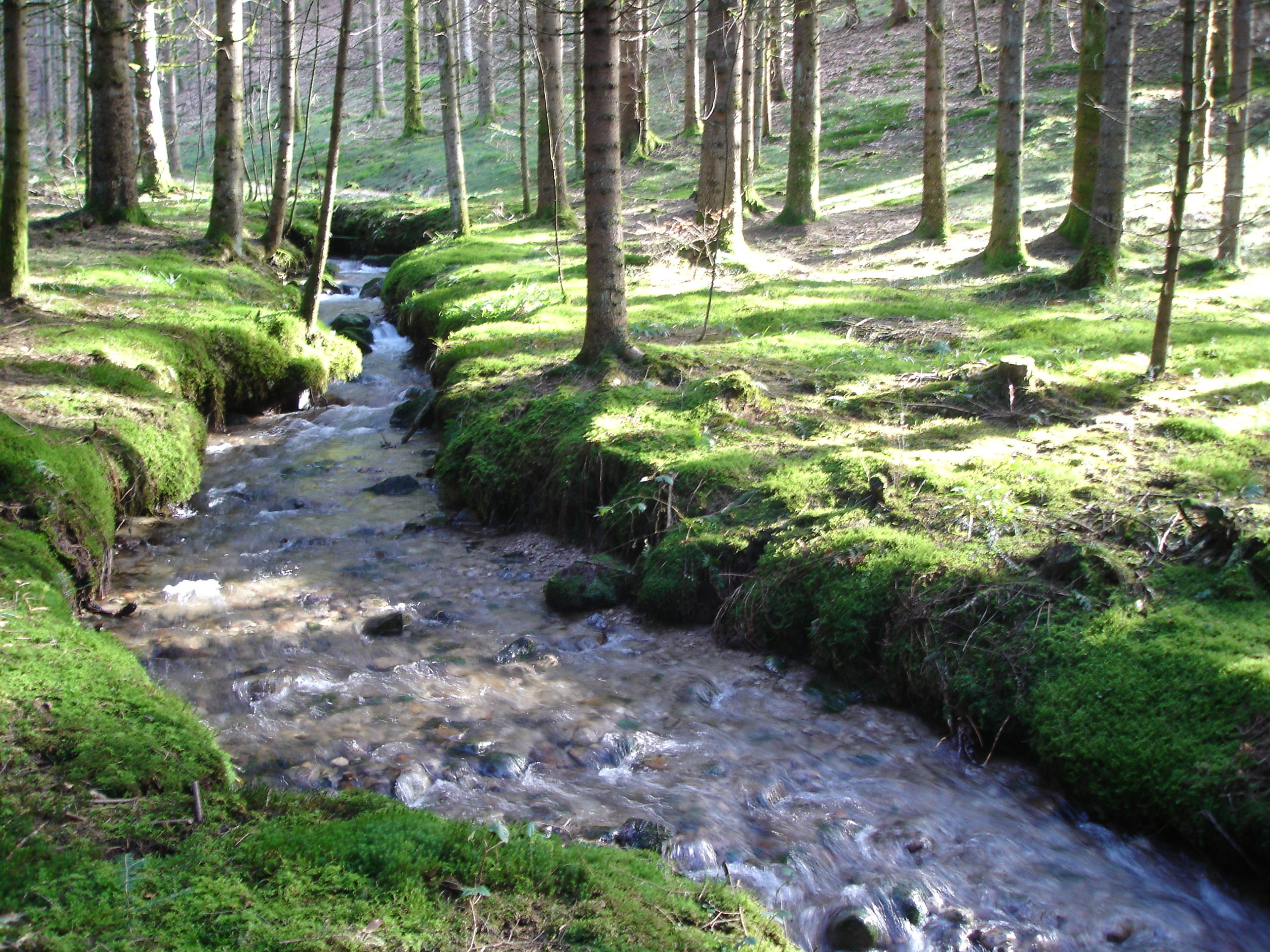 EAU: Lettre ouverte au préfet et élus relative au PTGE et SAGE