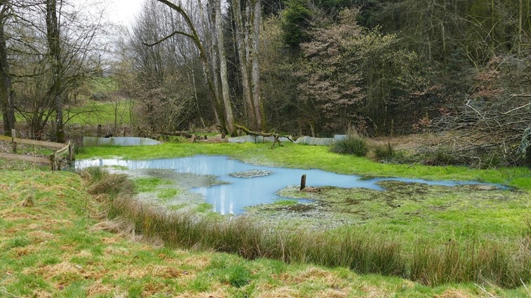 Pollution des sources et des étangs près de la plateforme de compostage à Bru
