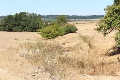 Crise hydrique dans les Vosges, Nestlé se gave