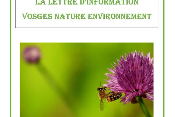 lettre vne 10