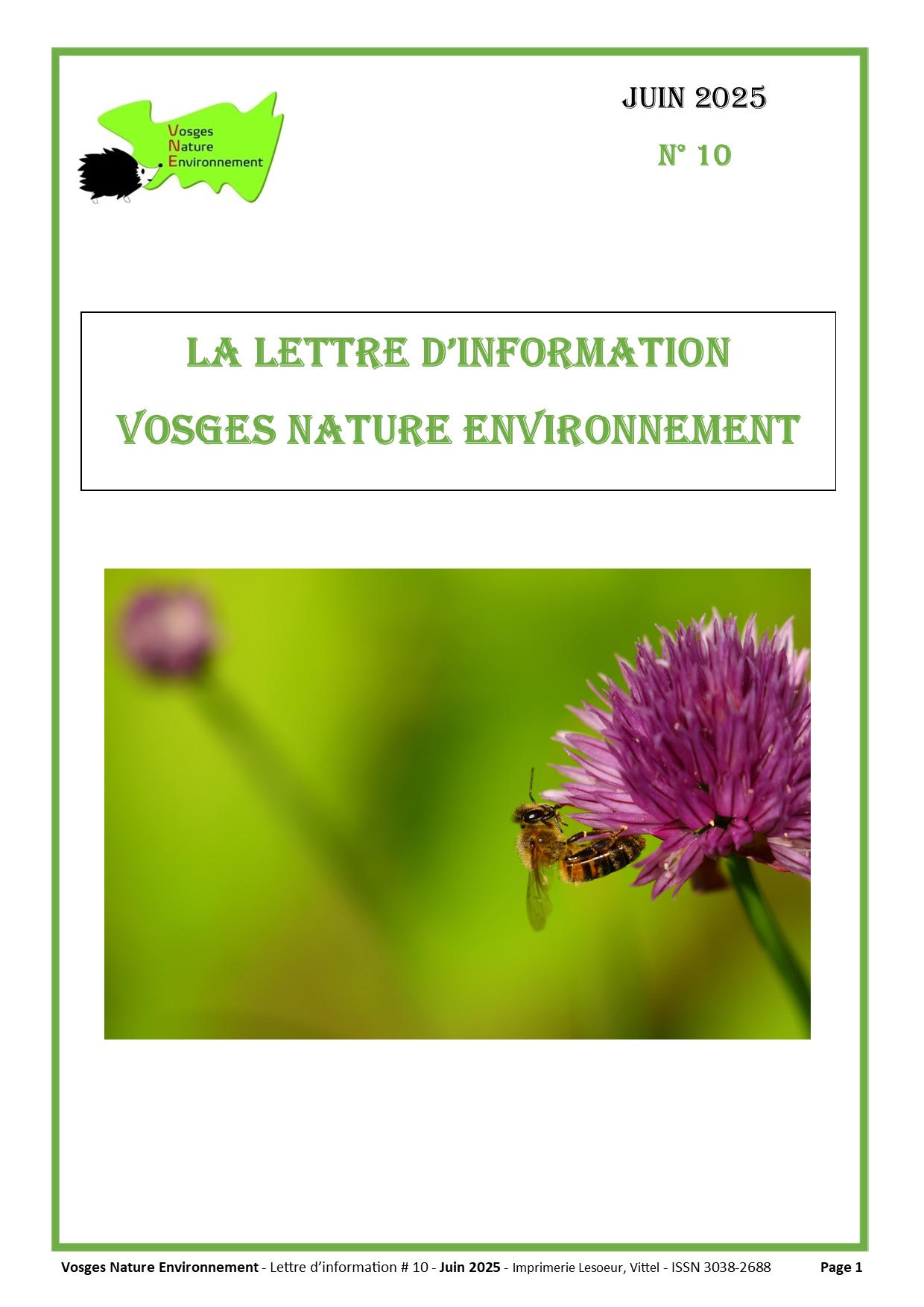 Lettre d’Information #10 de VNE