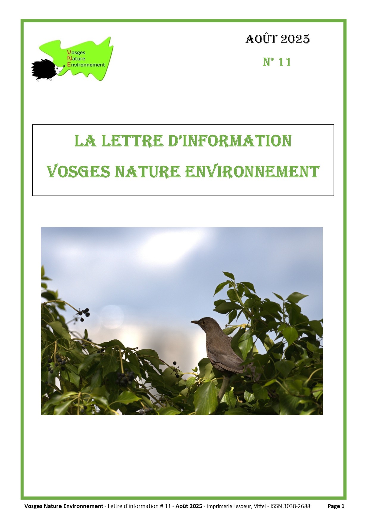 Lettre d’Information #11 de VNE