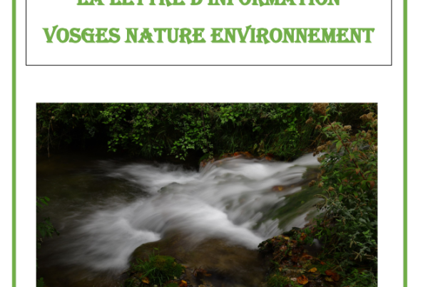 Lettre d'information VNE #13