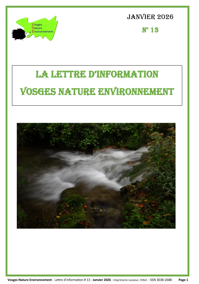 Lettre d&rsquo;information VNE #13