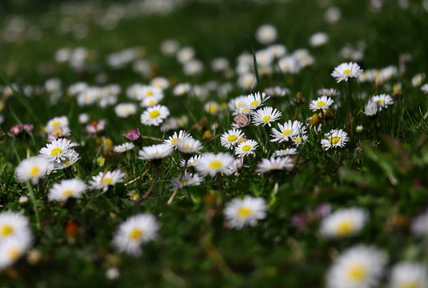 Procès Nestlé Waters : écoutez Hydromédia