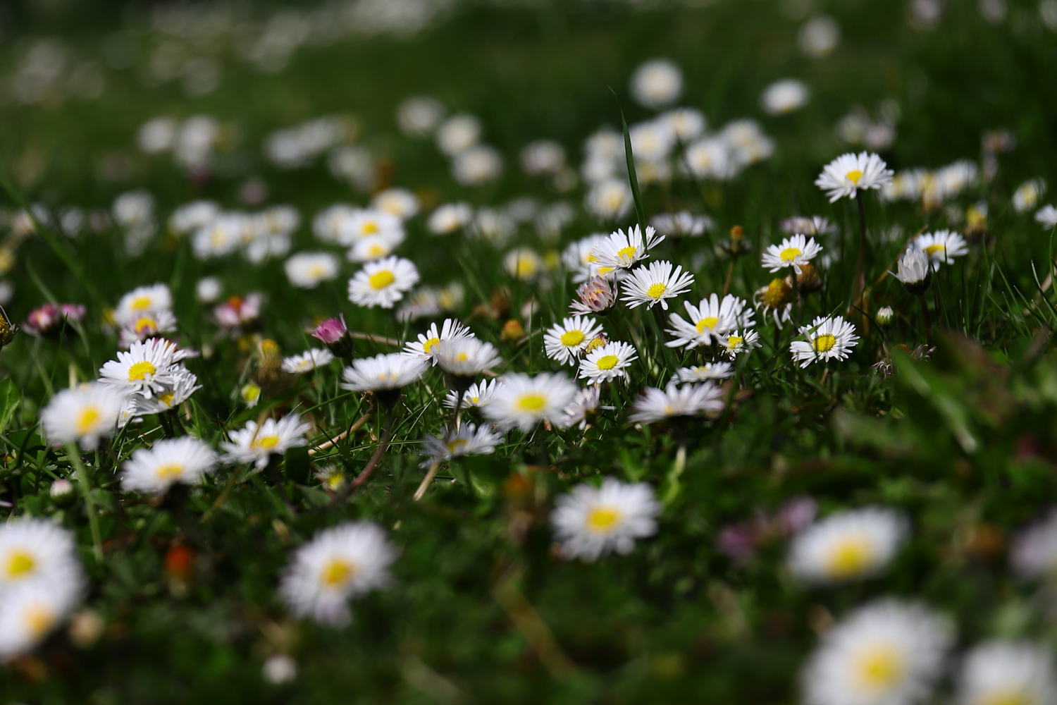Procès Nestlé Waters : écoutez Hydromédia