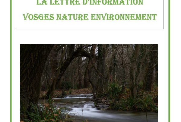 Lettre d'Information # 14