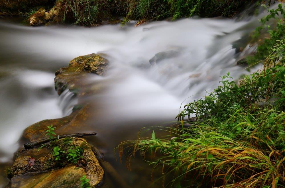 Assemblée Générale 2026 de VNE