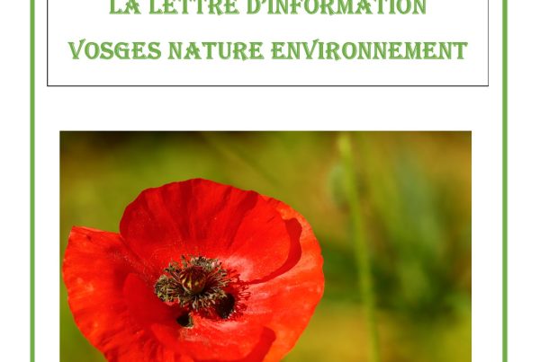 Lettre d'information VNE #15