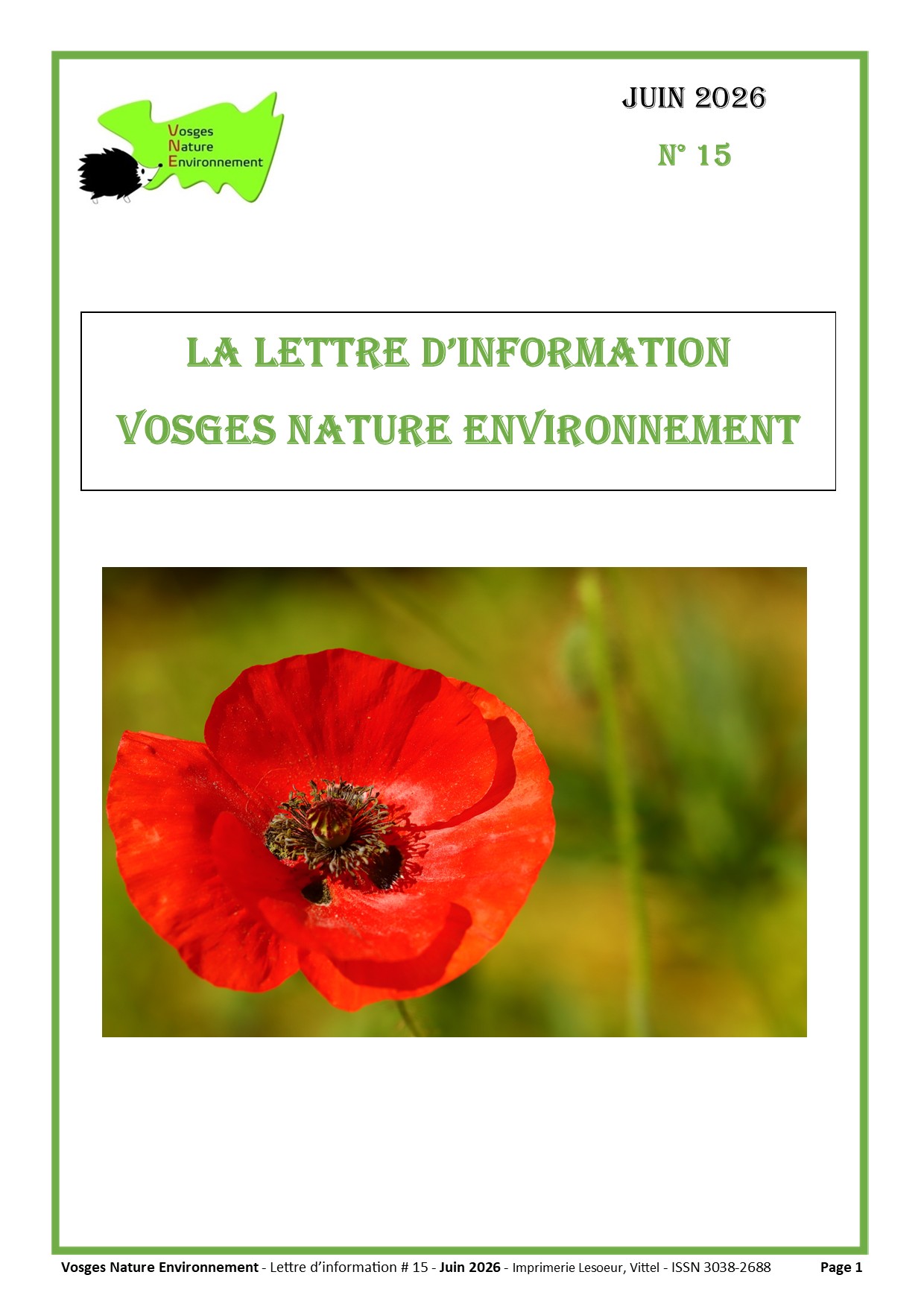 Lettre d&rsquo;information VNE #15