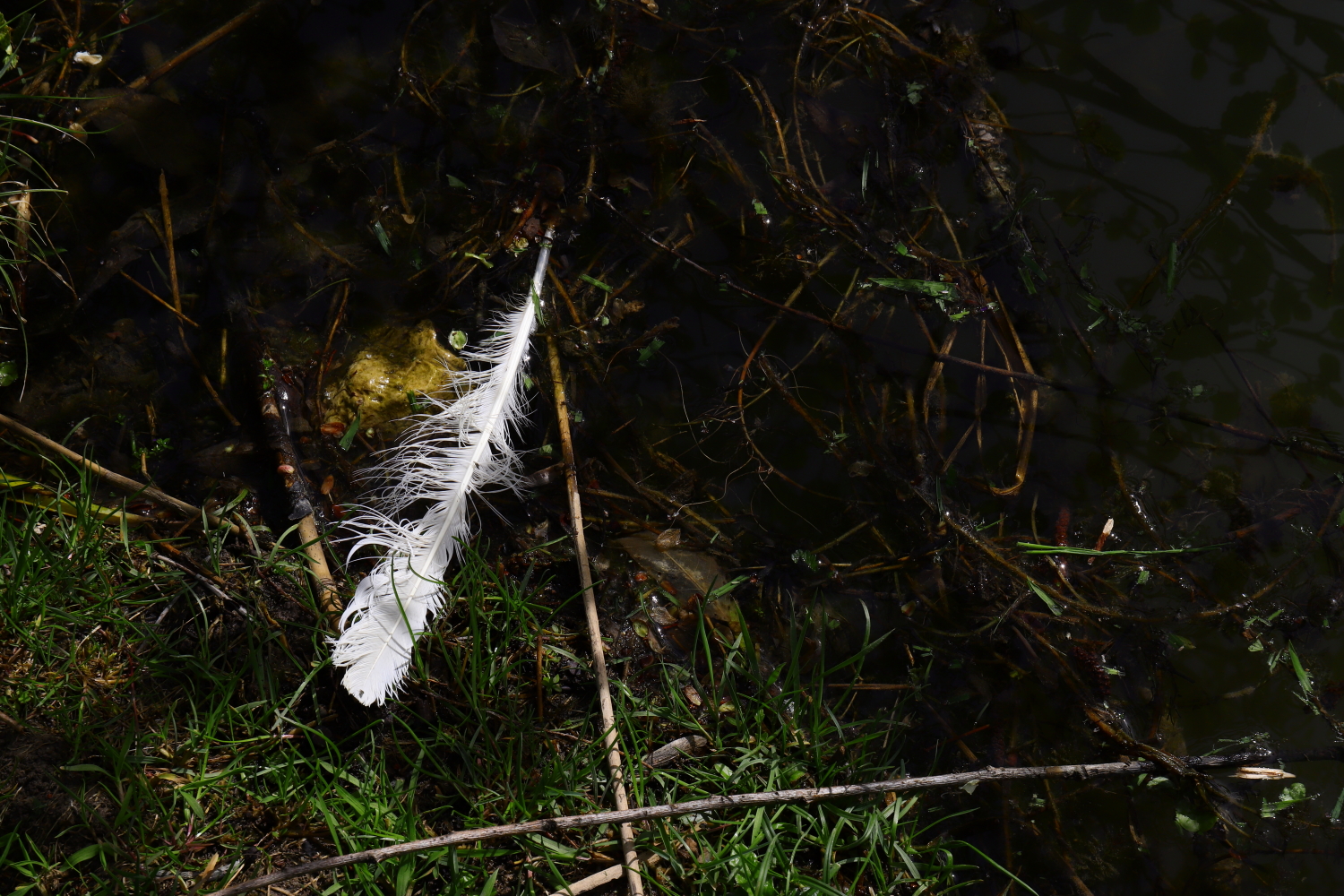 PFAS dans les Vosges : procès-verbaux, cartes, et autres